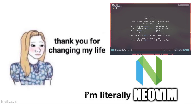 I’m literally Neovim