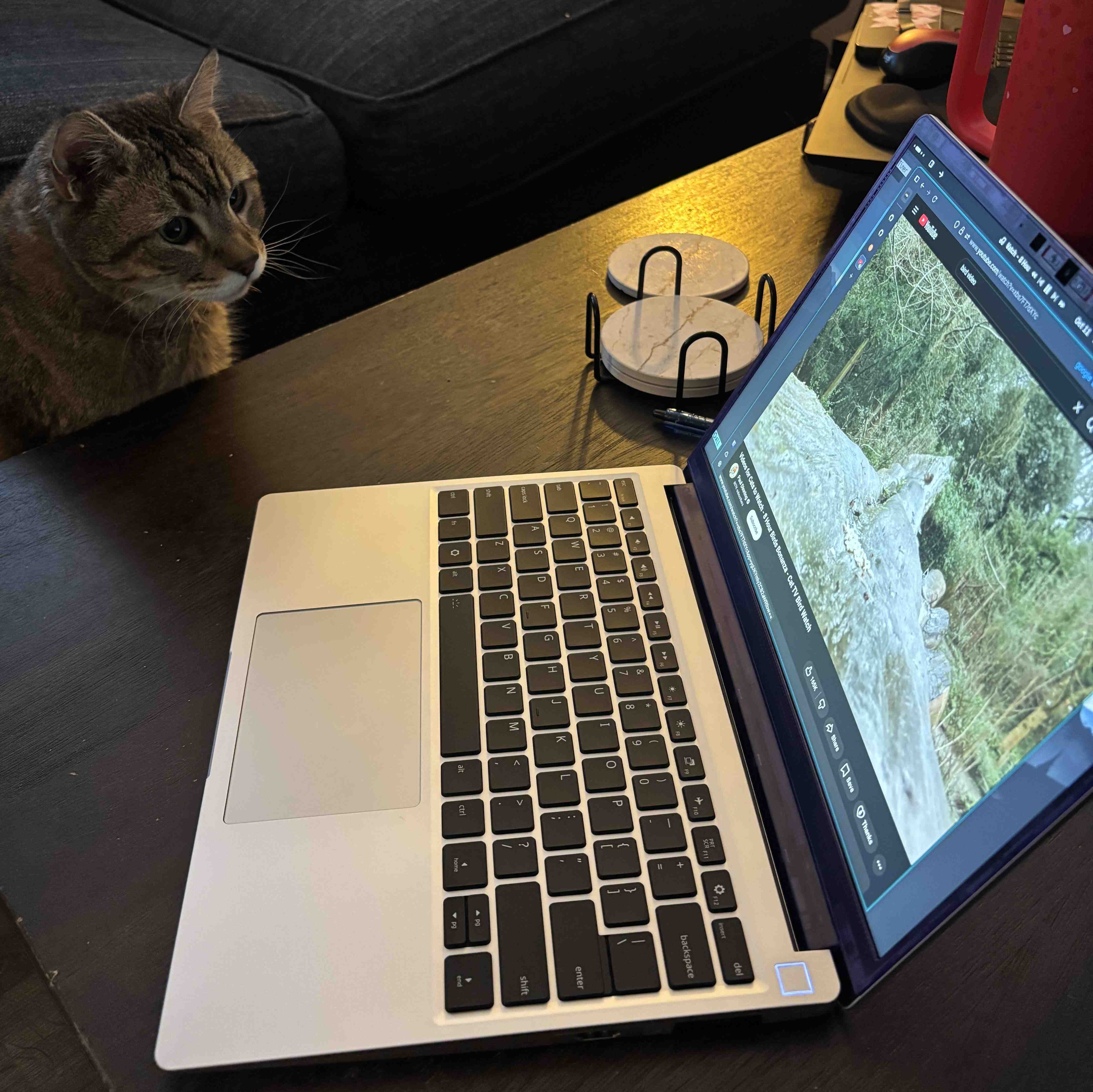 Mr. Oliver showing his support for free and open-source software and consumer friendly, reparable hardware